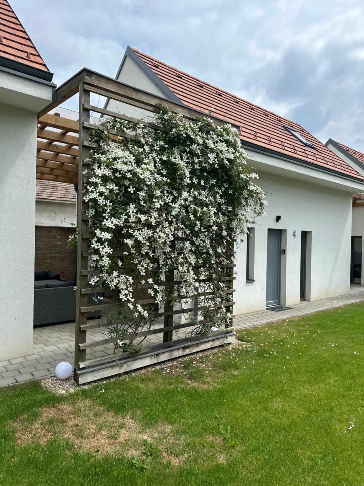 Dream Apartman Levél Exterior foto